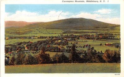 Cucongena Mountain Middleburgh, New York Postcard