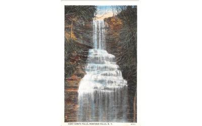 Aunt Sara's Falls Montour Falls, New York Postcard
