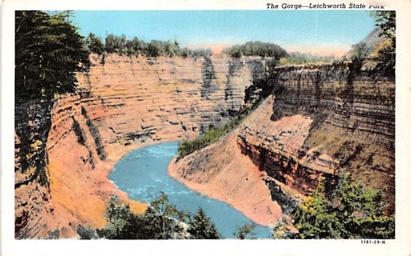 The Gorge Nunda, New York Postcard