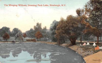 Weeping Willows Newburgh, New York Postcard