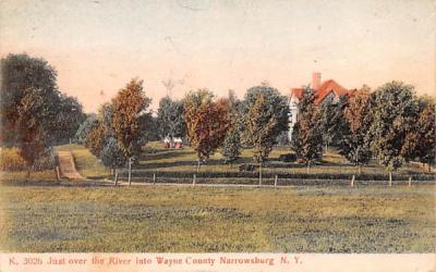 Wayne County Narrowsburg, New York Postcard