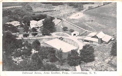 Delwood Acres Narrowsburg, New York Postcard