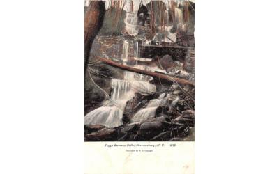 Peggy Runway Falls Narrowsburg, New York Postcard