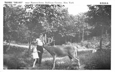 Three Dears Narrowsburg, New York Postcard