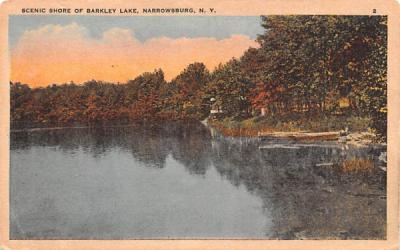 Scenic Shore of Barkley Lake Narrowsburg, New York Postcard