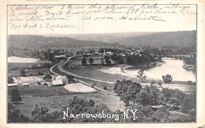 Bird's Eye View Narrowsburg, New York Postcard