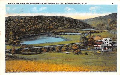 Delaware Valley Narrowsburg, New York Postcard