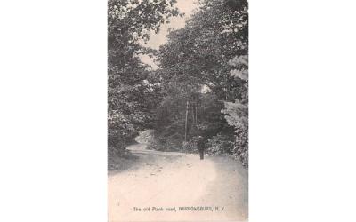 Old Plank Road Narrowsburg, New York Postcard