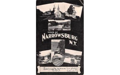 Views of Narrowsburg, New York Postcard