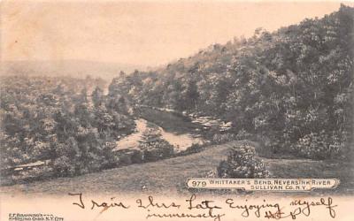 Whittakers Bend Neversink River, New York Postcard