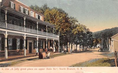 Main Street North Branch, New York Postcard