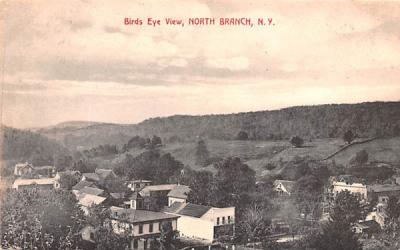 Bird's Eye View North Branch, New York Postcard