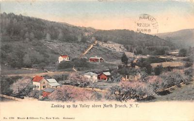 Looking up the Valley North Branch, New York Postcard