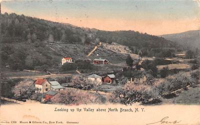 Looking up the Valley North Branch, New York Postcard