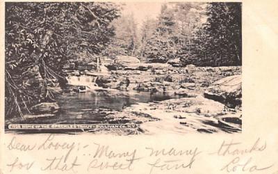 Home of the Speckled Trout North Branch, New York Postcard