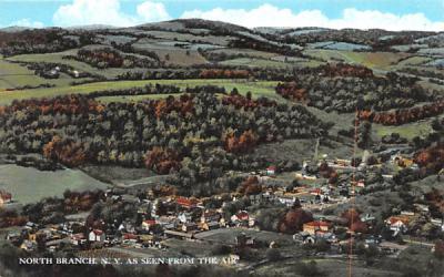 Seen from the Air North Branch, New York Postcard