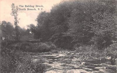 Babling Brook North Branch, New York Postcard