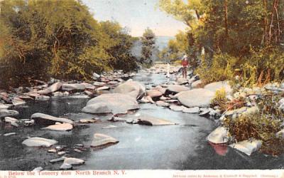 Below the Tannery Dam North Branch, New York Postcard