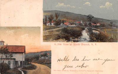The Old Mill North Branch, New York Postcard