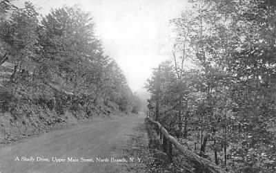 Shady Drive North Branch, New York Postcard