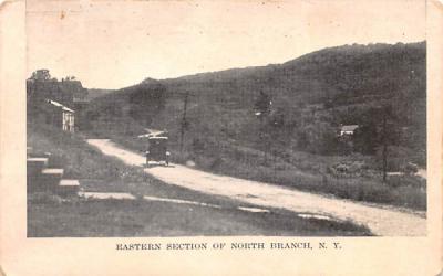 Eastern Section North Branch, New York Postcard