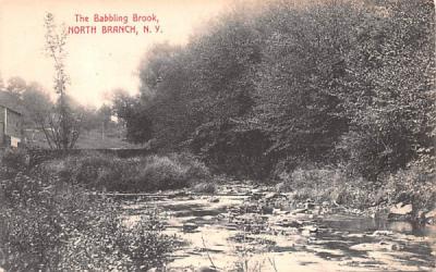 The Babbling Brook North Branch, New York Postcard
