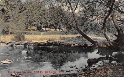 The Trout Stream North Branch, New York Postcard