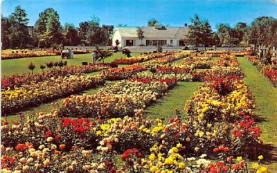 Jackson & Perkins Rose Garden Newark, New York Postcard