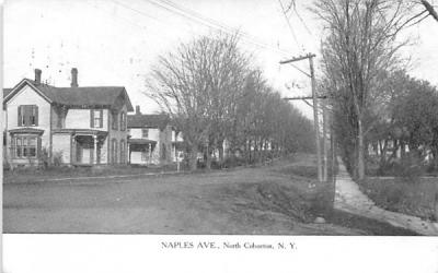 Naples Avenue North Cohocton, New York Postcard
