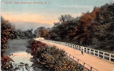 State Road Norwich, New York Postcard