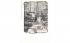 Crumbies Glen Nyack on the Hudson, New York Postcard