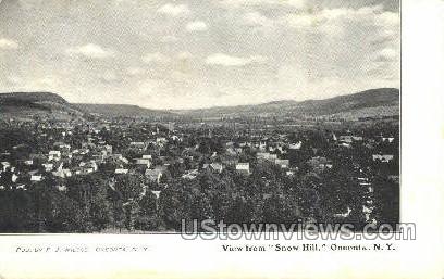 Snow Hill - Oneonta, New York NY Postcard