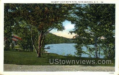 Gilbert Lake State Park - Oneonta, New York NY Postcard