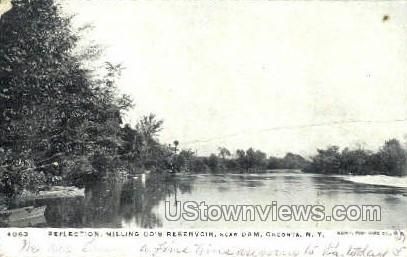 Millin Co's Reservoir - Oneonta, New York NY Postcard