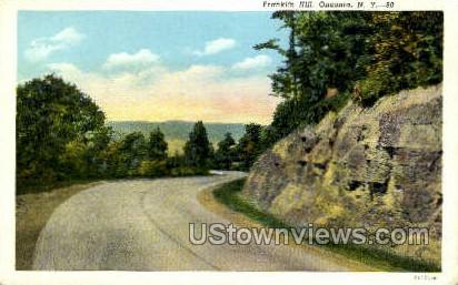 Franklin Hill - Oneonta, New York NY Postcard