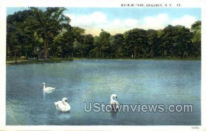 Wilbur Park - Oneonta, New York NY Postcard
