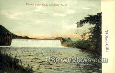 Electric Lake Falls - Oneonta, New York NY Postcard