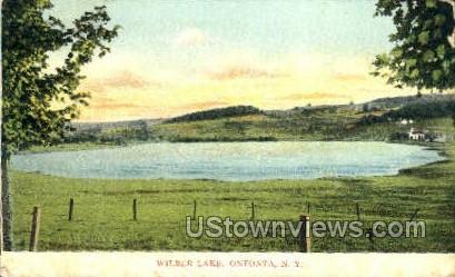 Wilber Lake - Oneonta, New York NY Postcard