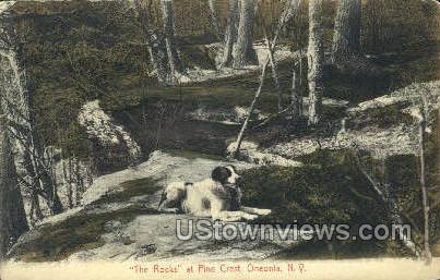 The Rocks, Pine Crest - Oneonta, New York NY Postcard