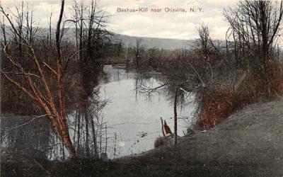 Bashas Kill Otisville, New York Postcard