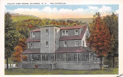 Valley View House Oliverea, New York Postcard