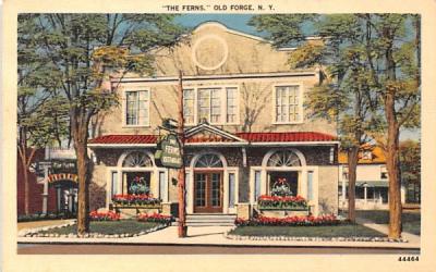 The Ferns Old Forge, New York Postcard
