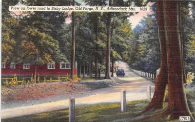 Bisby Lodge Old Forge, New York Postcard
