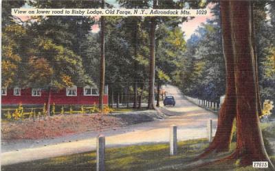 Bisby Lodge Old Forge, New York Postcard