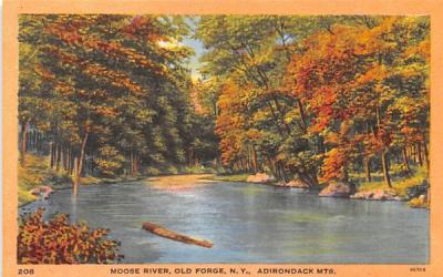Moose River Old Forge, New York Postcard