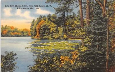 Lily Bay Old Forge, New York Postcard