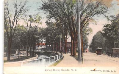 Spring Street Oneida, New York Postcard