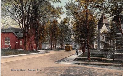 Chestnut Street Oneonta, New York Postcard