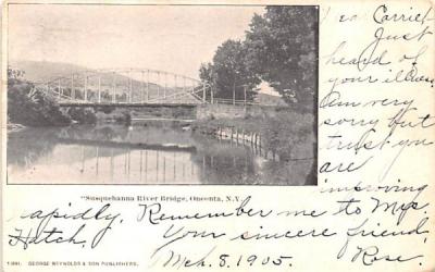 Susquehanna River & Bridge Oneonta, New York Postcard