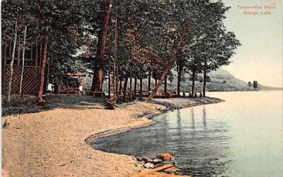 Three Mile Point Otsego Lake, New York Postcard